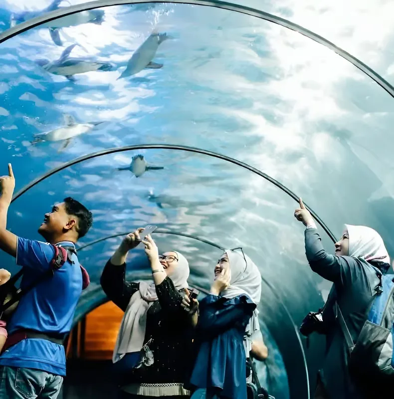 Langkawi: Underwater World Langkawi belépőjegy – programajánló Langkawi környékén